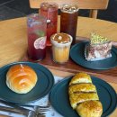 더 이쁜 멍살롱 이미지