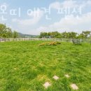 몬띠 | 양양숙소 양양 몬띠 애견 펜션 양양가볼만한곳 강원도해수욕장 근처 편리한 위치 가성비 숙소