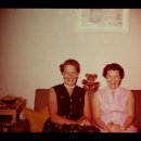 온사랑펫 이미지