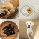 비쥬펫 | 의정부 강아지 수제간식 전문점 비쥬펫