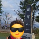 대길축산 | 20231105 영월 가볼만한 곳 봉래산 별마로천문대 봉래산산림욕장