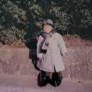 이이주