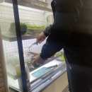 [시흥맛집] 계수가든 점심 먹기 좋은 식당