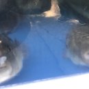 임진강나루 이미지