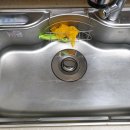 싱크퓨어 이미지