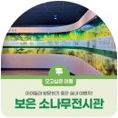 솔향공원 소나무전시관 | 아이들과 방문하기 좋은 실내 여행지! 보은 소나무전시관