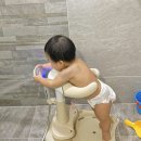 돌 아기 샤워 목욕 핸들 폴레드 허그베어 두 달 사용 후기
