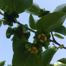 왕자농장 이미지