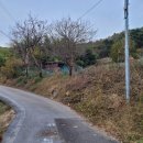 선산농장 이미지