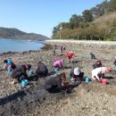 학림섬어촌체험휴양마을 이미지