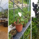 흙집 쉼 이미지