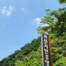 아이랑 함께 물놀이 할 수 있는 대구 근교 화원자연휴양림