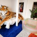 우주펜션 이미지