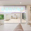 미들턴커피 | 제주도 여행 숙소 추천 유앤아이제주 서귀포 프라이빗 풀빌라의 매력