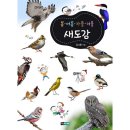 진선 쇼핑하우