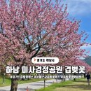 하남제6어린이공원(어등공원)2 | 경기도 겹벚꽃 명소 2025 미사경정공원 겹벚꽃 탐방기