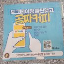 도그베이 동탄호수공원점 | 동탄애견카페 유치원 호텔 도그베이 동탄호수공원점