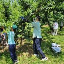 월등면 행정복지센터 이미지