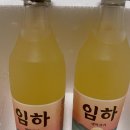 임하 | 수제막걸리 임하막걸리 맛의 깊이에 반한 후기