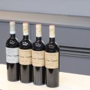 와인마스터 | WSA 와인아카데미, 이탈리아 와인의 정수 달 포르노 로마노 마스터 클래스 후기