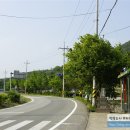 의령 덕교리 강씨고가 이미지