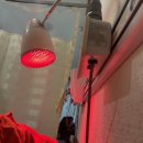 코앤아이시민한의원 | 비염 배농치료 면봉치료 맛집 [부산 코앤아이시민한의원]