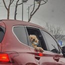 전주항외과의원 이미지