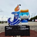 제주공천포전지훈련센터 다목적체육관 | 2026년 제주 전국체육대회 전국 (장애인) 체전 자원봉사자 모집 지꺼지게 함께 자원봉사해주실 분들...
