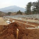 수동농장 이미지