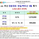 부산고속투어