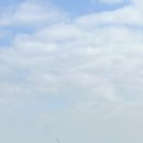 왜목마을 좌대낚시터 | 당진 왜목항 왜목마을 좌대낚시 아이와 다녀온 솔직후기｜초등체험낚시 추천