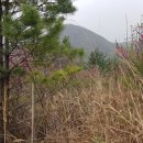 월롱리경로당 이미지