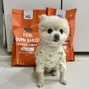 리틀포우 | 강아지 오븐베이크드 사료 추천 노령견 리틀포우 후기