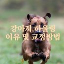 하울링 이미지
