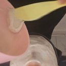 평택시 배다리저수지3 이미지