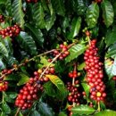 율량중학교 이미지