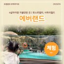 휴먼스카이밸리관리단 | 4살 아이랑 에버랜드 사파리 판다월드 로스트밸리 동선 추천