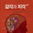 J감각 이미지