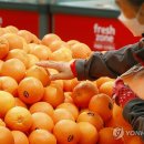 오렌지축산 - 마포구 월드컵로 80 | 오렌지축산