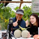 군유 농장 이미지