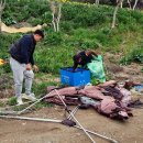 강변야영장 이미지