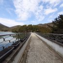 부산진구-31 이미지