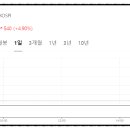 (주)럭키항공여행사