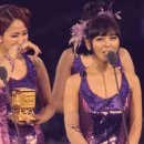 타노시미 이미지