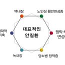 루아이즈 이미지