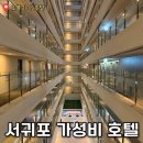 노블피아호텔 | 조식 포함 1박 5만원, 서귀포 가성비 호텔 노블피아
