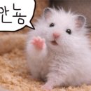 희도민박 이미지