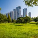 아파트여인숙 이미지