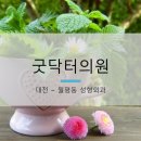 굿닥터의원 이미지