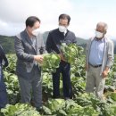 강릉원예농협 이미지